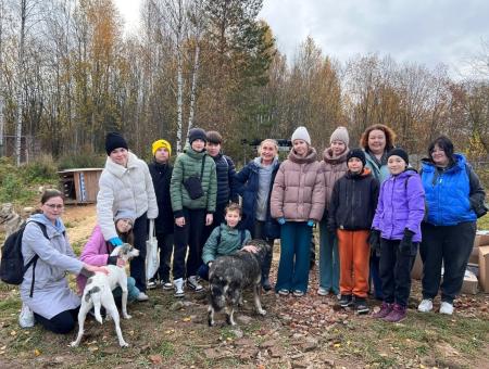 Pupils of the Eco-school from Perm collected more than 300 kilograms of feed for homeless animals.